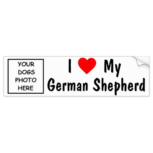 German Shepherd Bumper Sticker