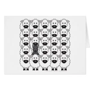German Shepherd Dog in the Sheep