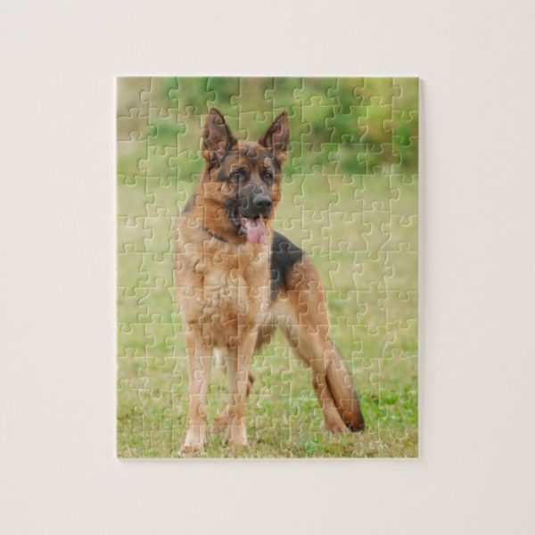 German shepherd dog jigsaw puzzle