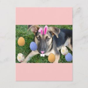 German Shepherd Easter Puppy Holiday Postcard