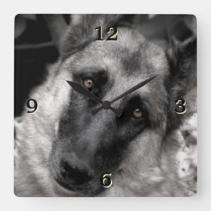 German Shepherd Photo Wall Clock