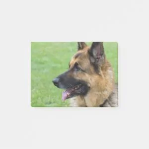 German Shepherd Profile Post-it Notes
