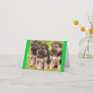 German Shepherd Puppy Dog Blank  Note Card
