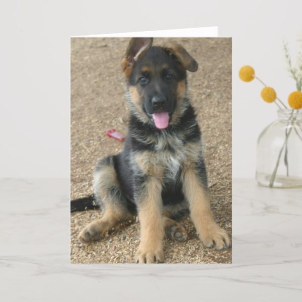 German Shepherd Puppy Greeting Card