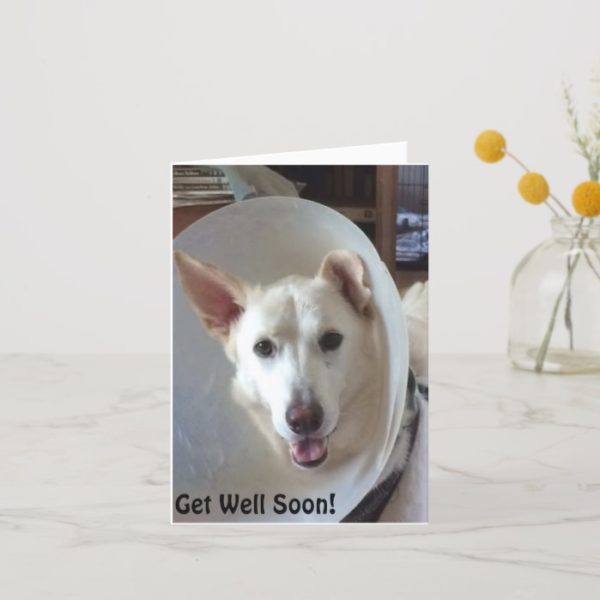 German Shepherd Rescue Central Texas Get Well Card
