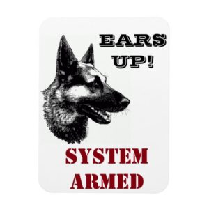 German Shepherd Rescue Central Tx funny magnet 3x4