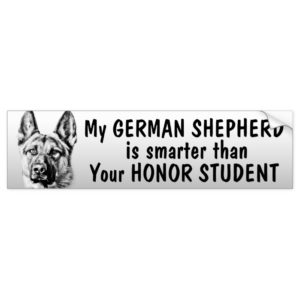 German Shepherd - smarter than student - funny Bumper Sticker