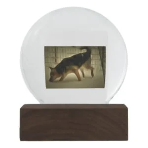 German Shepherd Snow Globe