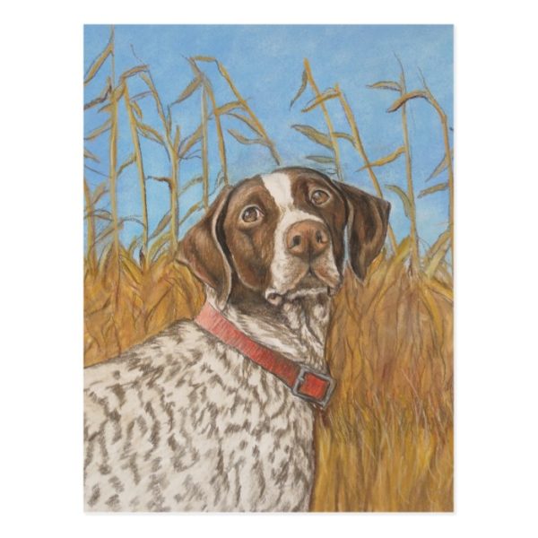 German Shorthair Pointer Dog Art Postcard