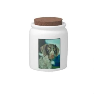 German Shorthair Pointer Dog Treat Candy Jar