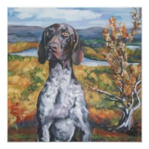 German Shorthaired Pointer Art Print gsp