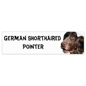 German Shorthaired Pointer Bumper Sticker