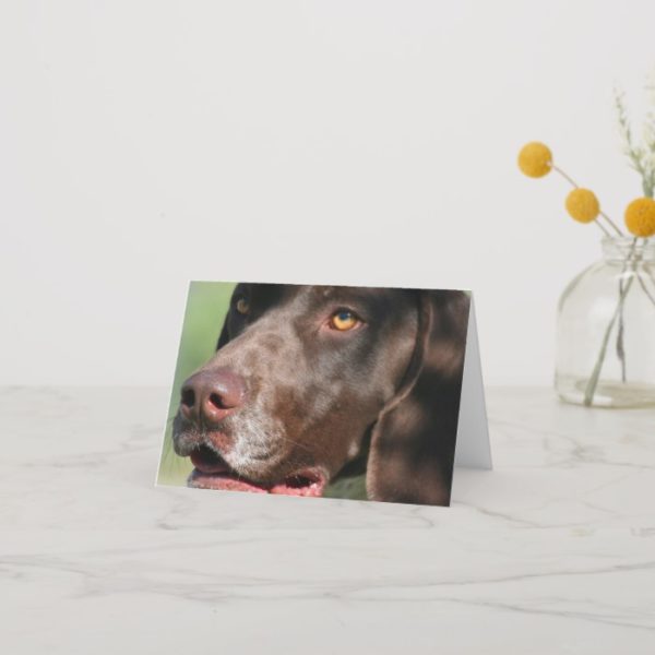 German Shorthaired Pointer Card