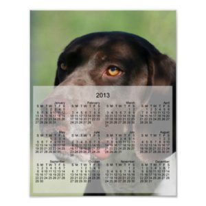 German Shorthaired pointer dog 2013 calendar print