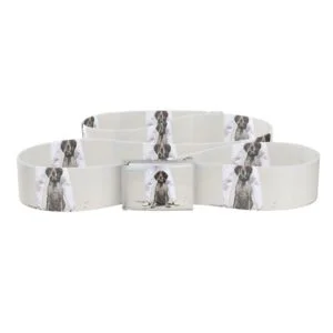German Shorthaired Pointer - Luke - Riley Belt