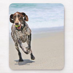 German Shorthaired Pointer - Luke - Riley Mouse Pad