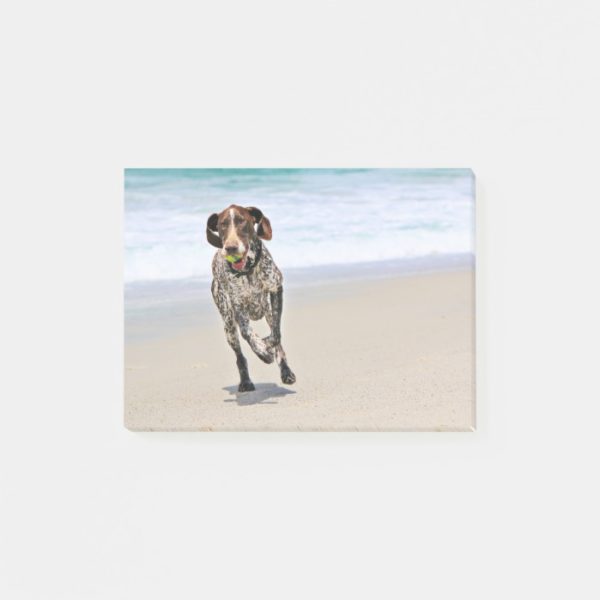 German Shorthaired Pointer - Luke - Riley Post-it Notes
