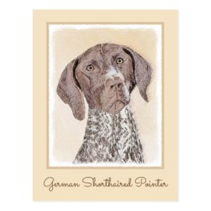 German Shorthaired Pointer Painting - Dog Art Postcard