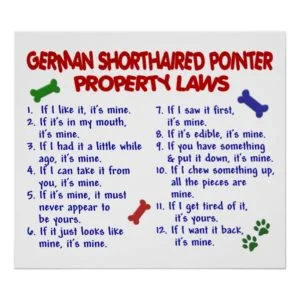 GERMAN SHORTHAIRED POINTER PL2 POSTER