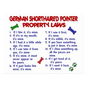 GERMAN SHORTHAIRED POINTER Property Laws 2 Postcard