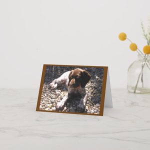 German Shorthaired Pointer Puppy Chillin' Card