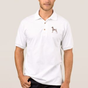 German Shorthaired Pointer (Show Side) Polo Shirt