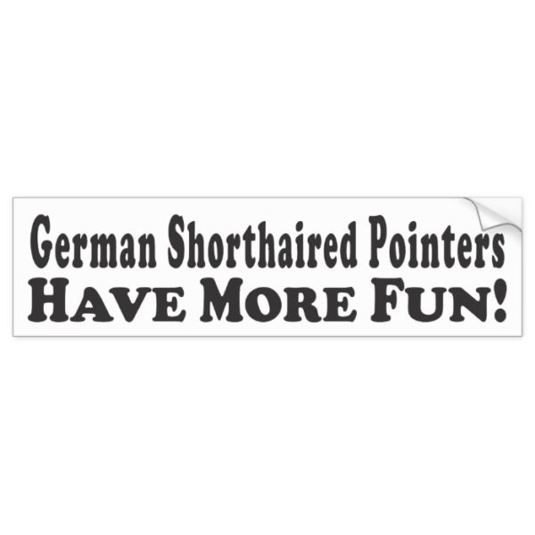 German Shorthaired Pointers Have More Fun! - Bumpe Bumper Sticker