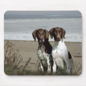 German Shorthaired Pointers On The Beach Mousepad
