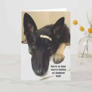 Get Well - Feeling So Doggone Bad Card