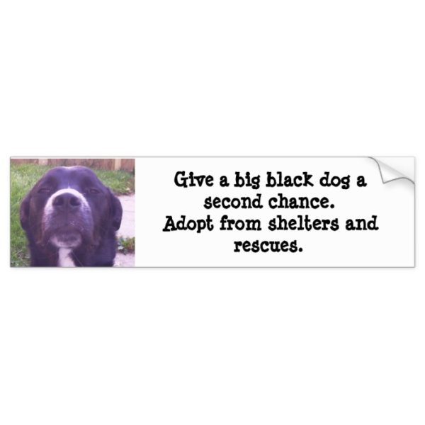 Give a big black dog a second chance... bumper sticker