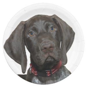 Glossy Grizzly Paper Plate