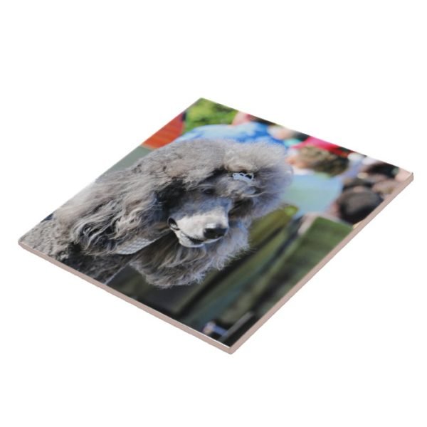 Goldberg - Chanel - Standard Poodle Ceramic Tile