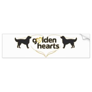 Golden Hearts Bumper Sticker