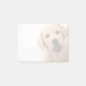 Golden Labrador Puppy Post-it Notes