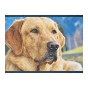 Golden Labrador Retriever Fleece Blanket