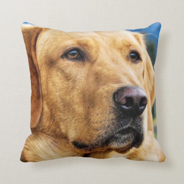 Golden Labrador Retriever Throw Pillow