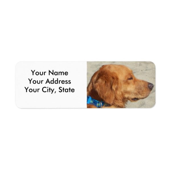 Golden Retriever Beach Dog Label