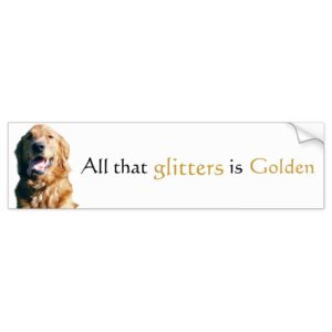 Golden Retriever Bumper Sticker, All That Glitters Bumper Sticker