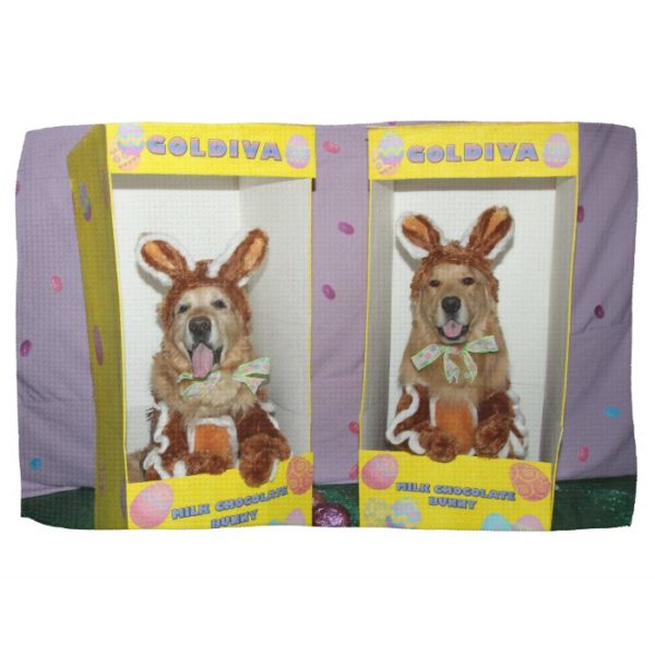 Golden Retriever Chocolate Rabbits in Boxes Kitchen Towel