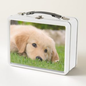Golden Retriever Cute Puppy Dreams Dog Head Photo Metal Lunch Box