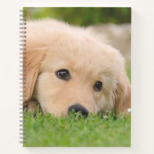 Golden Retriever Cute Puppy Dreams Dog Head Photo Notebook