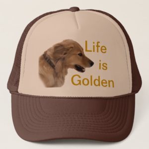Golden Retriever Dog Hat