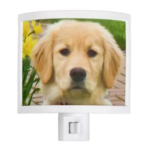 Golden Retriever Dog Night Light