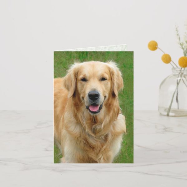 Golden Retriever—Dog Sympathy Card