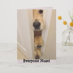 Golden Retriever Everyone Nose Birthday Card