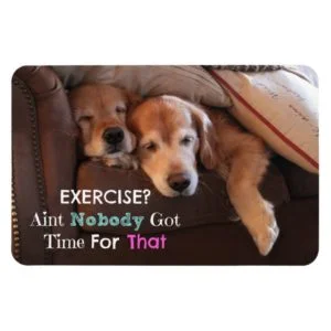 Golden Retriever Exercise Demotivational Magnet