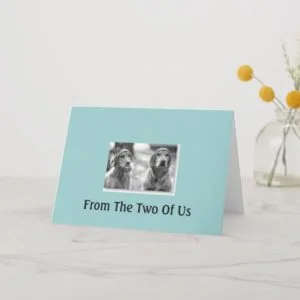 Golden Retriever From the 2 of us Birthday Card