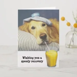 Golden Retriever Get Well Card