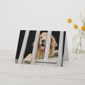 Golden Retriever Humorous Birthday Card