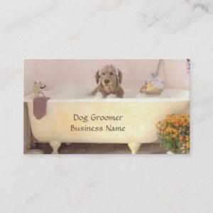 Golden Retriever In Bath Tub Groomer Business Card